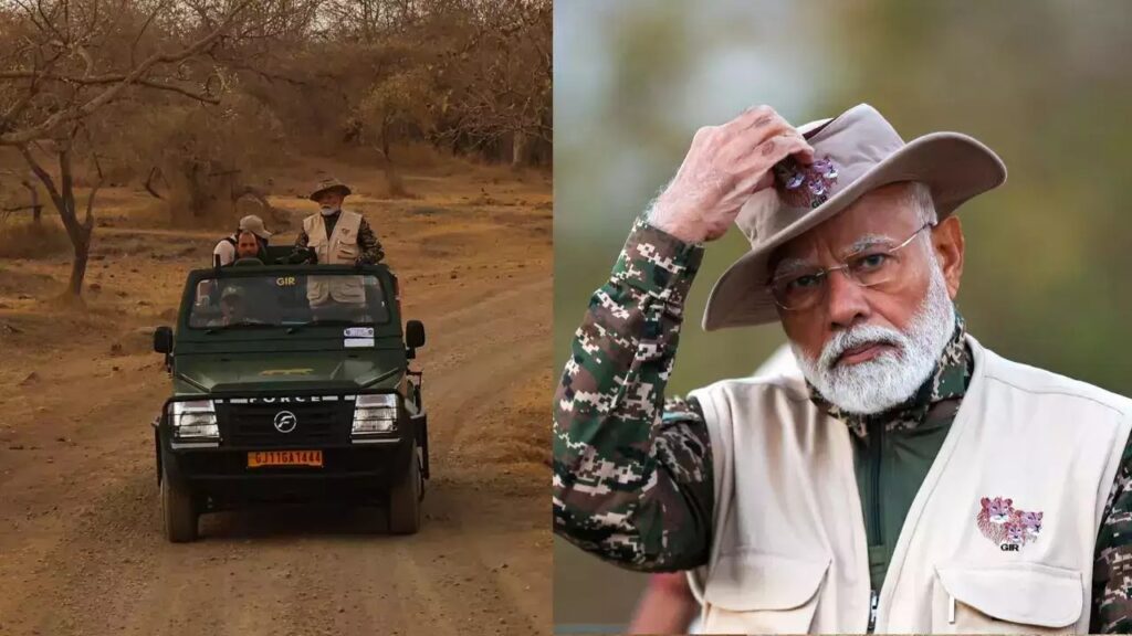 World Wildlife Day: PM Narendra Modi celebrates World Wildlife Day with lion safari in Gujarat Images PM Modi Takes Elephant, Jeep Safari In Assams Kaziranga National Park | India News | Zee News